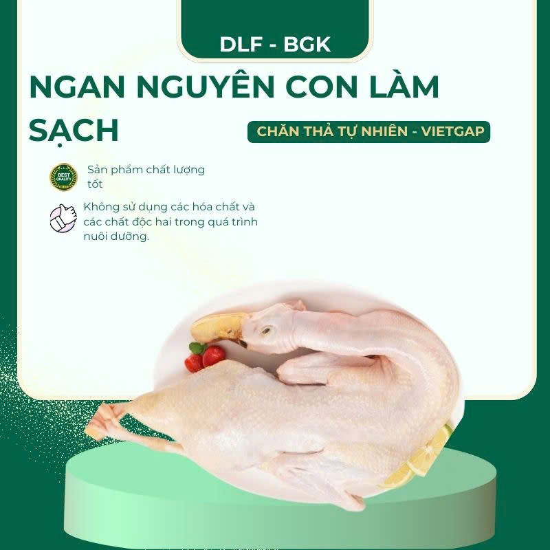 Ngan nguyên con làm sạch