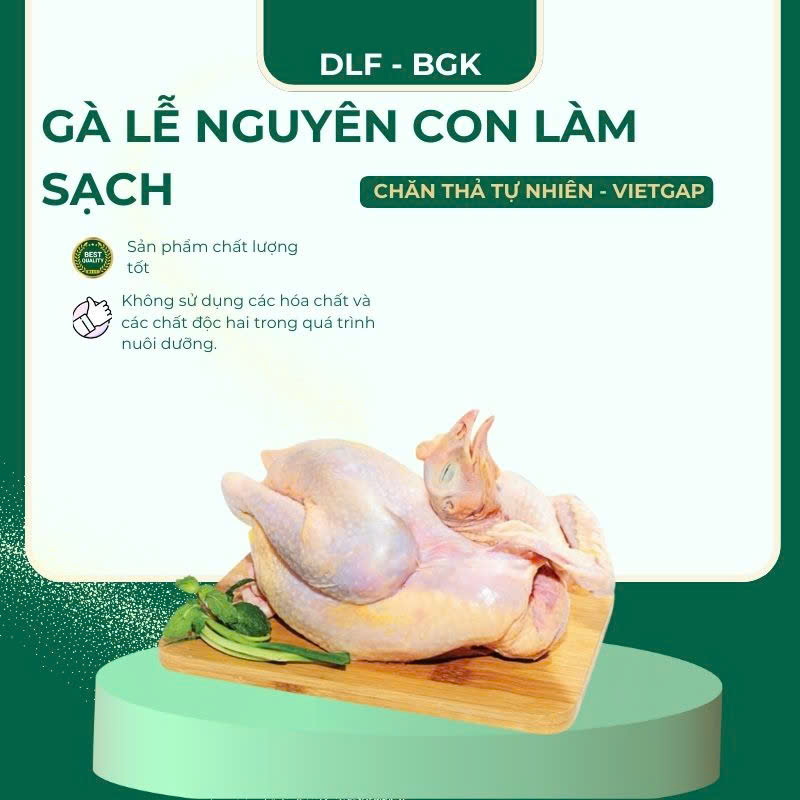 Gà lễ nguyên con làm sạch