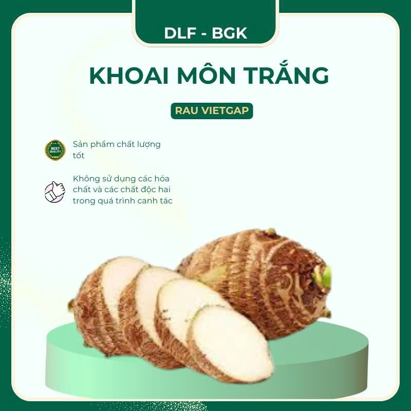 Khoai môn trắng