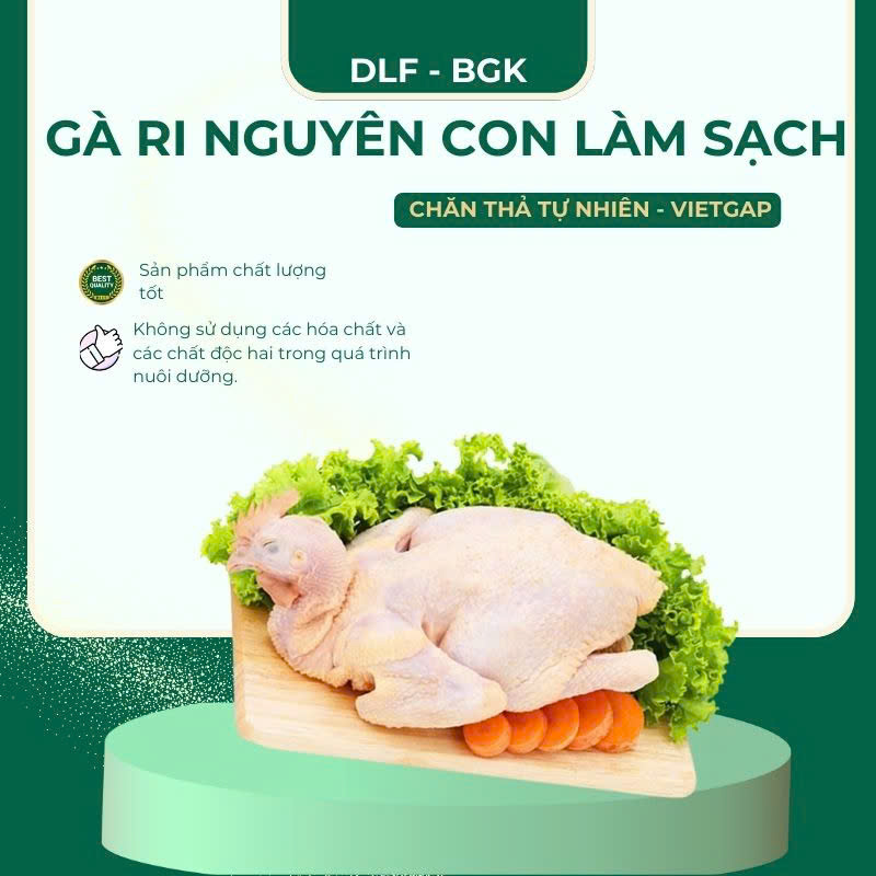 Gà ri nguyên con làm sạch