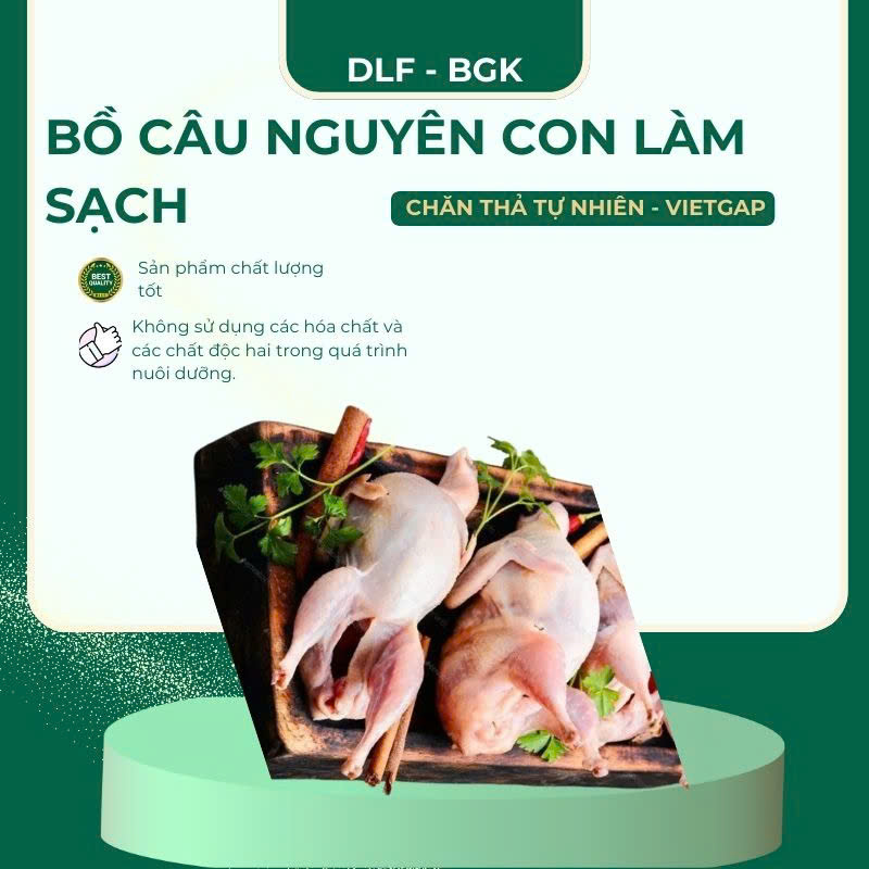 Bồ câu nguyên con làm sạch